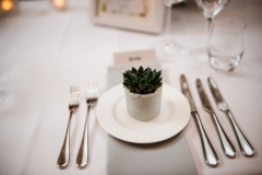 Succulent wedding table favours