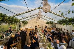 B&J marquee foliage installations, Tetbury