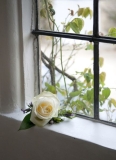 White rose buttonhole