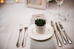 Succulent wedding table favours
