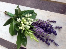 Lavender & rosemary buttonhole