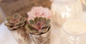 wedding flowers succulents